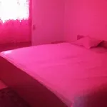Elahmdya Apartment